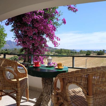 Vacanza In Ogliastra Tertenìa Exterior foto