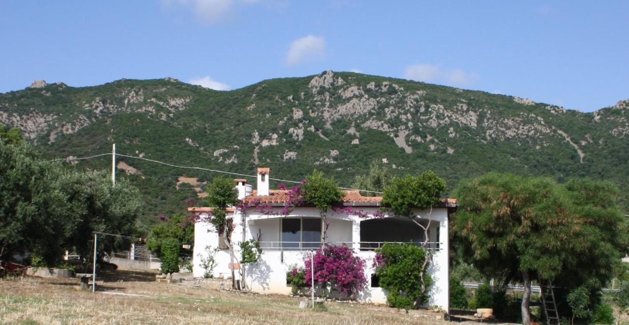 Vacanza In Ogliastra Tertenìa Exterior foto