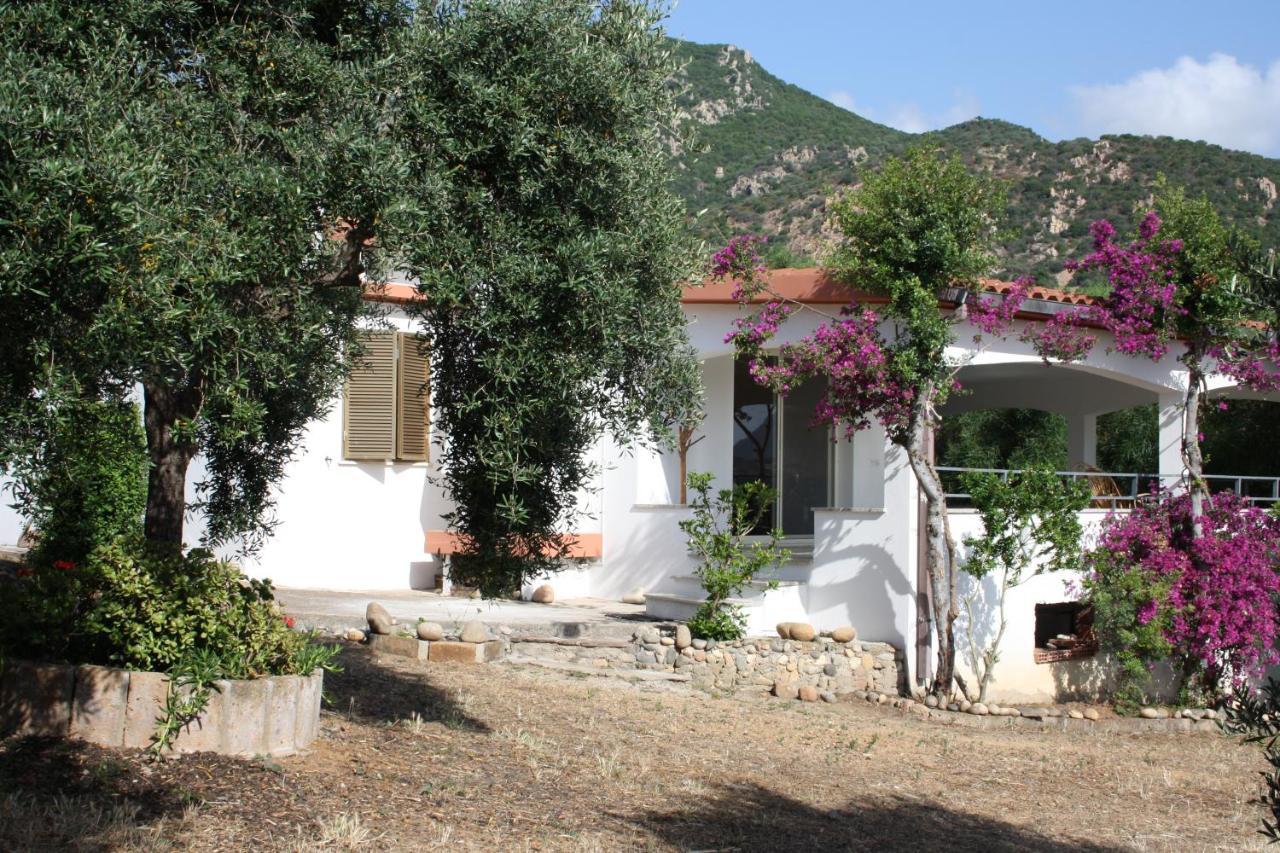 Vacanza In Ogliastra Tertenìa Exterior foto