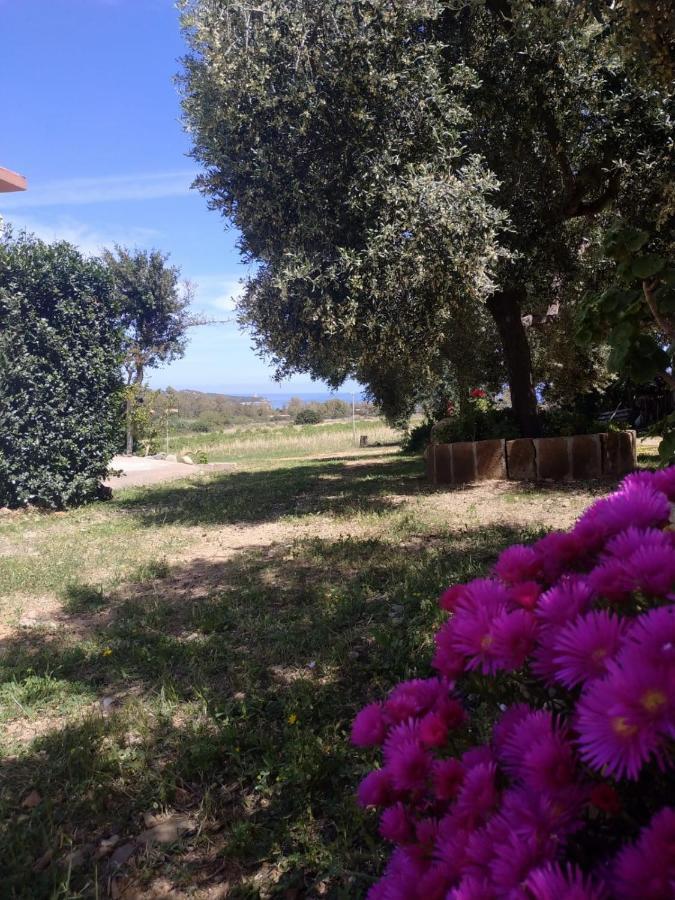 Vacanza In Ogliastra Tertenìa Exterior foto