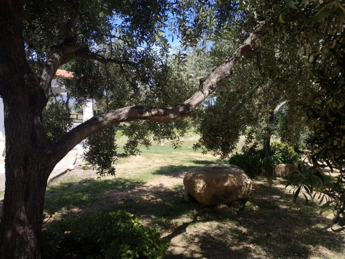 Vacanza In Ogliastra Tertenìa Exterior foto