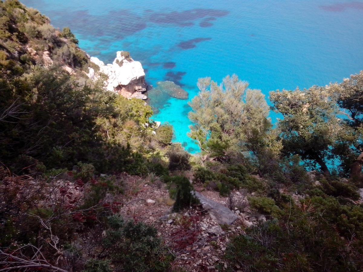 Vacanza In Ogliastra Tertenìa Exterior foto