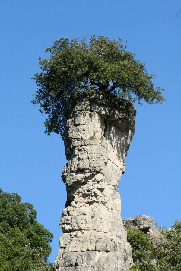 Vacanza In Ogliastra Tertenìa Exterior foto
