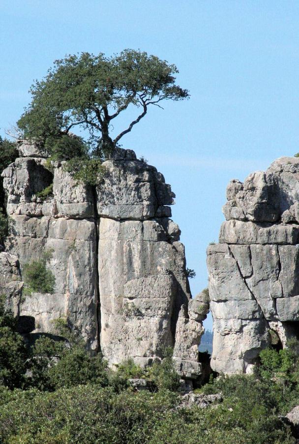 Vacanza In Ogliastra Tertenìa Exterior foto